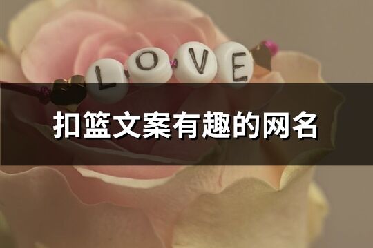 扣籃文案有趣的網(wǎng)名(289個)