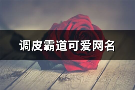 調皮霸道可愛網名(精選325個)