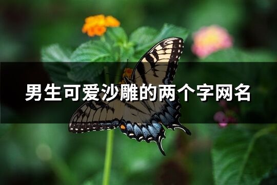 男生可愛沙雕的兩個字網名(精選765個)