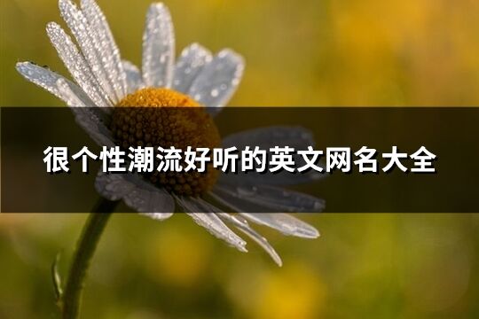 很個性潮流好聽的英文網名大全(共289個)