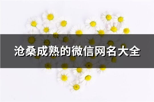 滄桑成熟的微信網名大全(共323個)