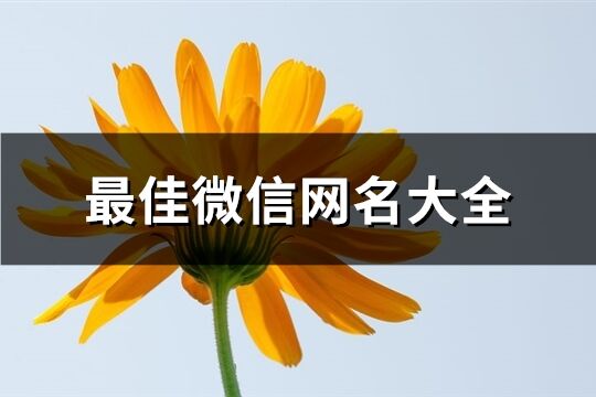最佳微信網名大全(精選875個)