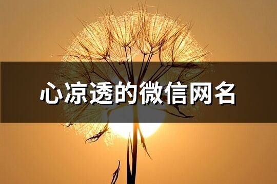 心涼透的微信網名(共833個)