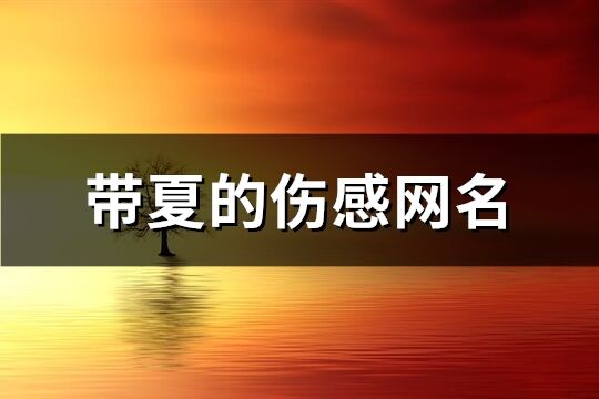 帶夏的傷感網名(71個)