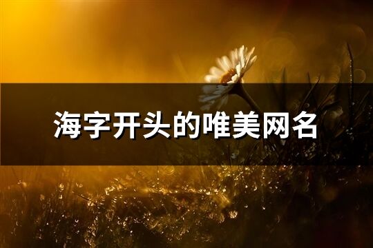 海字開頭的唯美網名(共142個)