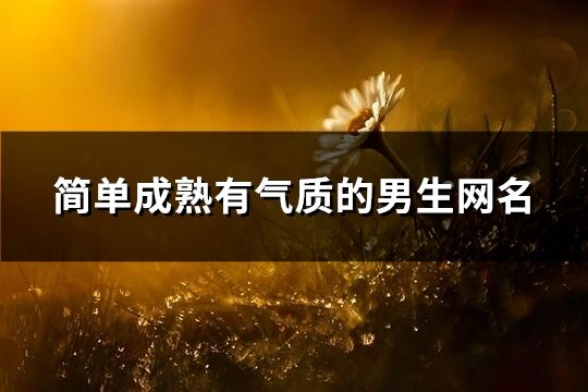 簡單成熟有氣質(zhì)的男生網(wǎng)名(共924個(gè))