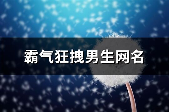 霸氣狂拽男生網名(精選769個)