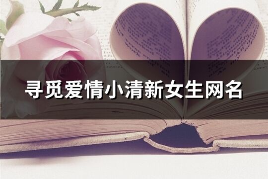 尋覓愛情小清新女生網名(共990個)