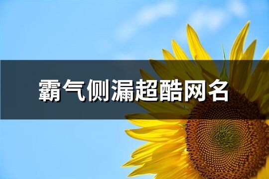 霸氣側(cè)漏超酷網(wǎng)名(247個(gè))