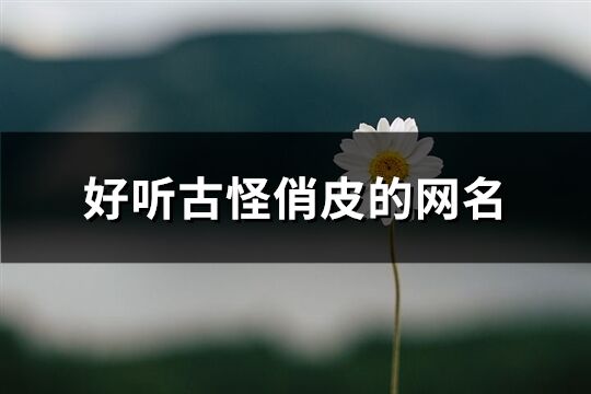 好聽古怪俏皮的網(wǎng)名(170個)