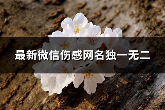 最新微信傷感網(wǎng)名獨一無二(共307個)