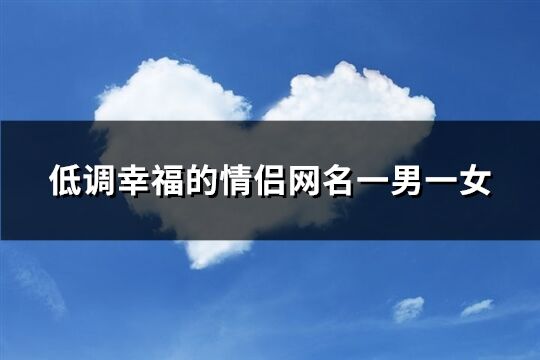 低調(diào)幸福的情侶網(wǎng)名一男一女(共78個)