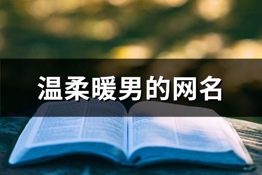 溫柔暖男的網名(共623個)