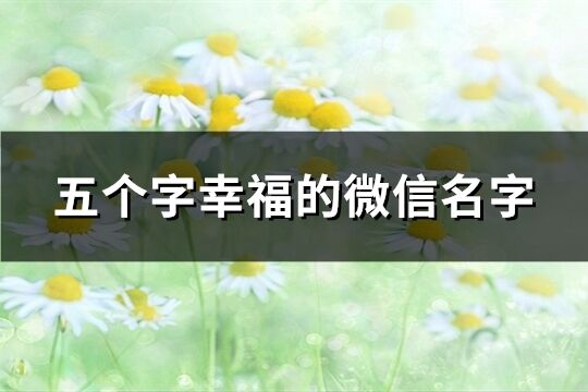 五個字幸福的微信名字(共521個)
