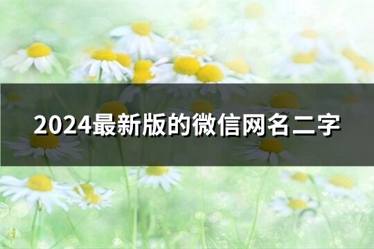 2024最新版的微信網名二字(共897個)