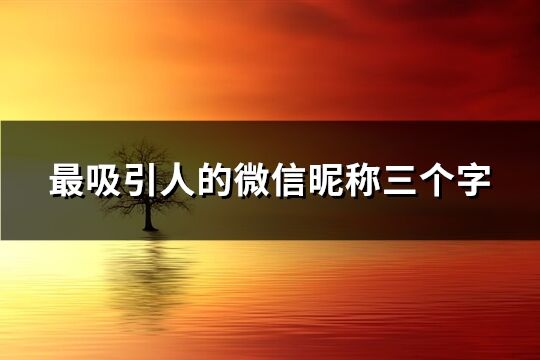 最吸引人的微信昵稱三個字(260個)
