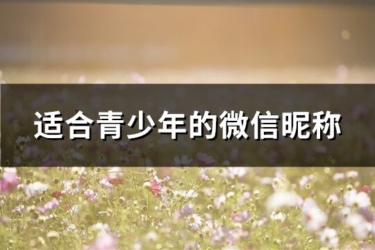 適合青少年的微信昵稱(共260個)