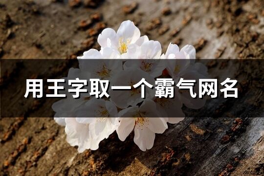 用王字取一個霸氣網(wǎng)名(共113個)