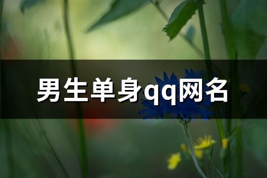 男生單身qq網(wǎng)名(61個(gè))