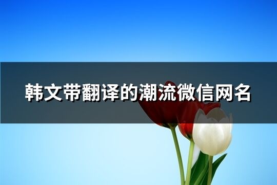 韓文帶翻譯的潮流微信網名(精選70個)