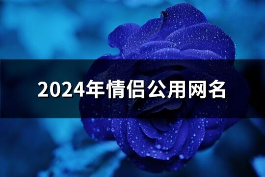 2024年情侶公用網(wǎng)名(精選175個)