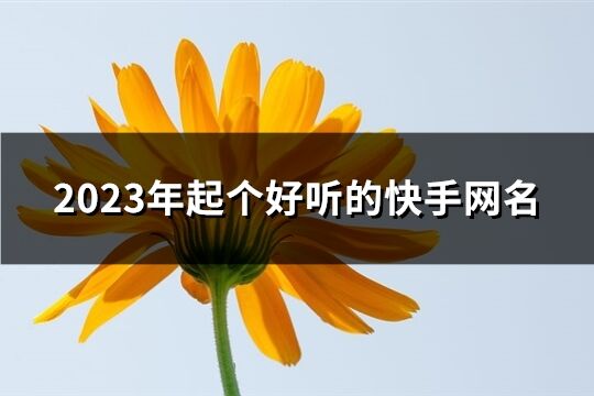 2023年起個好聽的快手網名(精選559個)