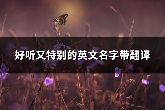 好聽又特別的英文名字帶翻譯(共267個)