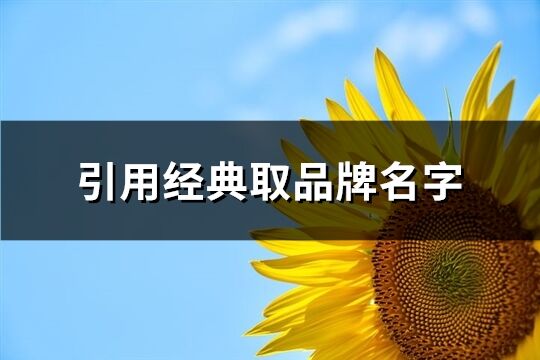 引用經典取品牌名字(168個)