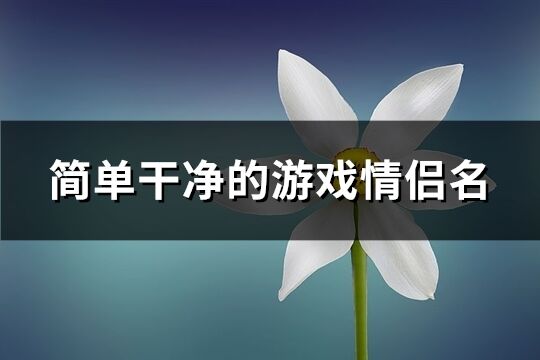 簡單干凈的游戲情侶名(優選110個)