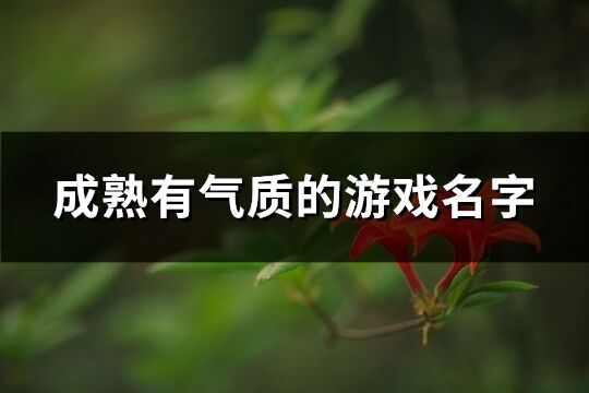 成熟有氣質的游戲名字(227個)