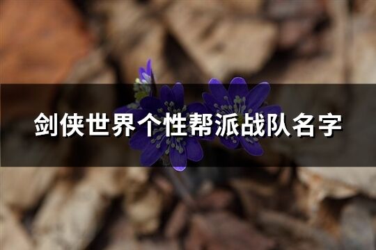 劍俠世界個(gè)性幫派戰(zhàn)隊(duì)名字(優(yōu)選99個(gè))
