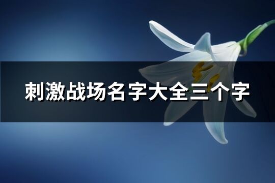刺激戰場名字大全三個字(優選442個)