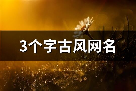 3個字古風(fēng)網(wǎng)名(優(yōu)選236個)