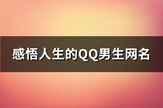 感悟人生的QQ男生網名(精選298個)