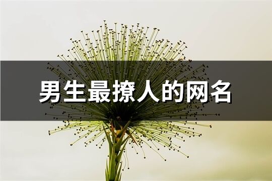 男生最撩人的網(wǎng)名(共384個(gè))