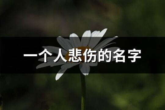 一個(gè)人悲傷的名字(355個(gè))