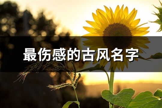 最傷感的古風名字(共649個)