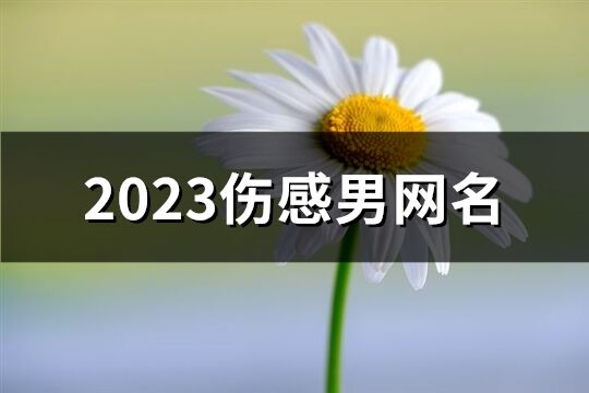 2023傷感男網名(582個)