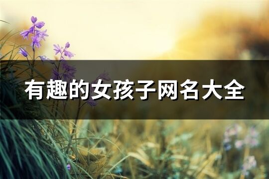 有趣的女孩子網(wǎng)名大全(646個)