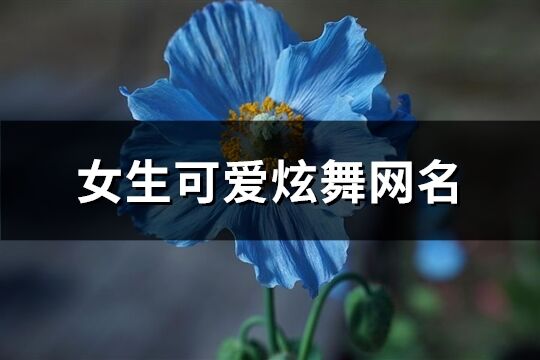 女生可愛炫舞網名(優選154個)