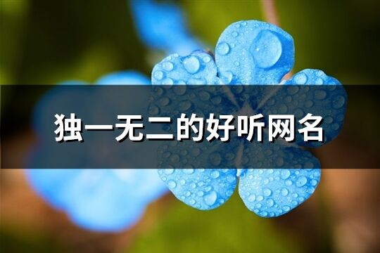 獨一無二的好聽網名(優選714個)