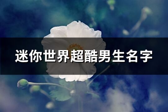 迷你世界超酷男生名字(優選226個)