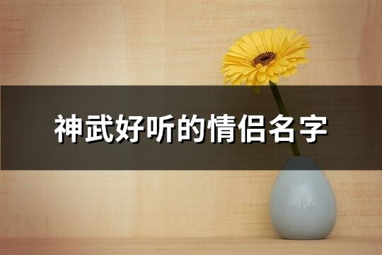 神武好聽(tīng)的情侶名字(優(yōu)選81個(gè))