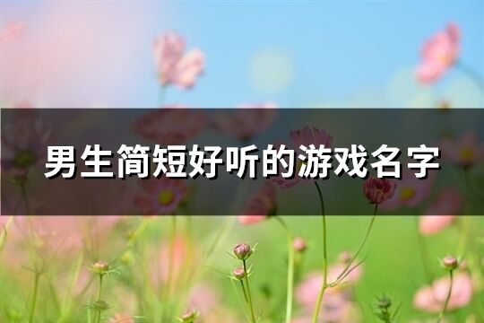 男生簡(jiǎn)短好聽的游戲名字(精選170個(gè))
