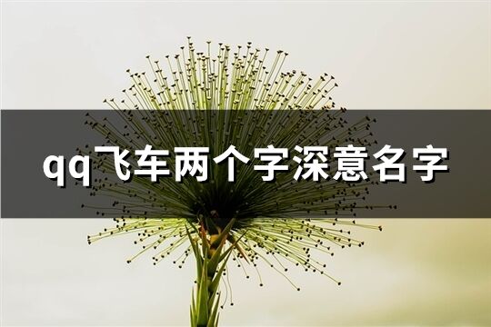 qq飛車兩個字深意名字(97個)