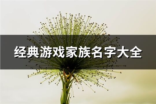 經(jīng)典游戲家族名字大全(658個)