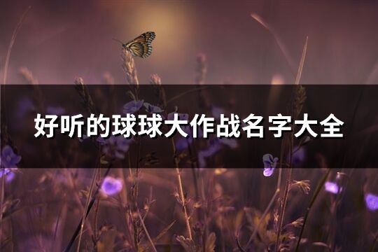 好聽的球球大作戰(zhàn)名字大全(精選280個)