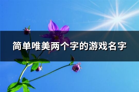 簡單唯美兩個字的游戲名字(精選1392個)