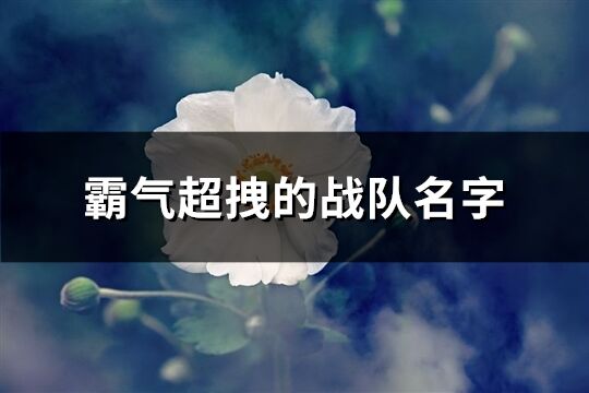 霸氣超拽的戰隊名字(521個)