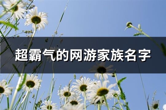 超霸氣的網游家族名字(共411個)